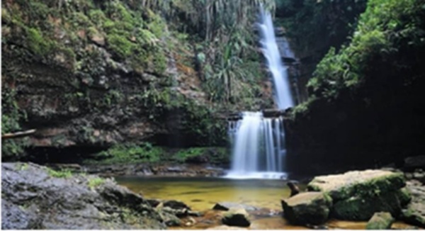 Panorama air terjun tingkat pertama dengan aliran air yang deras dikelilingi pohon- pohon besar.
